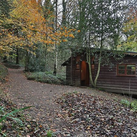 Pinetum Lodge Gloucester Cameră foto