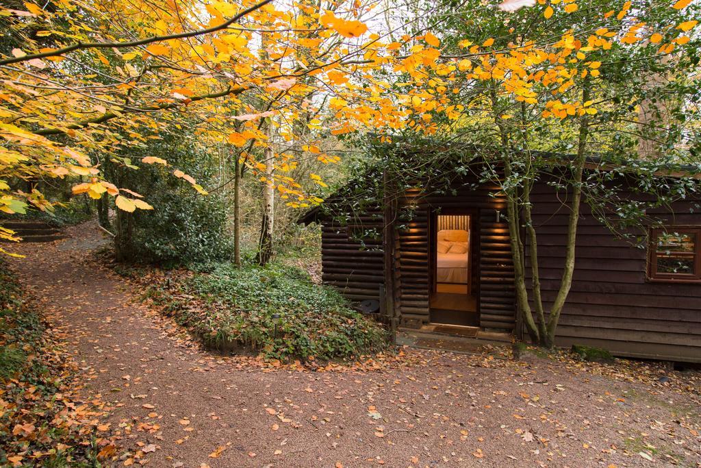 Pinetum Lodge Gloucester Cameră foto